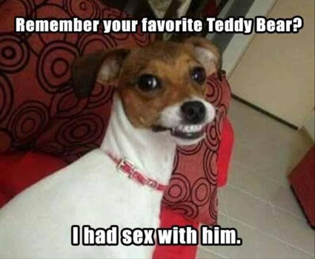 Bildschirmarbeiter - Picdump 29.06.2018