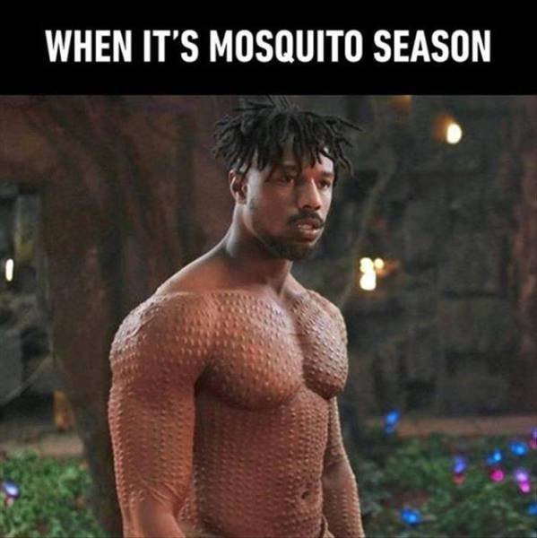 Bildschirmarbeiter - Picdump 29.06.2018