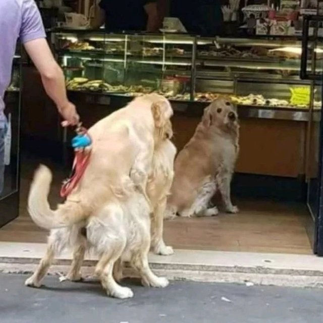 Bildschirmarbeiter - Picdump 29.06.2018