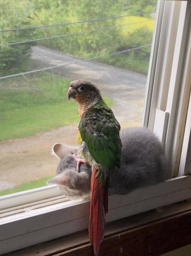 Bildschirmarbeiter - Picdump 06.07.2018