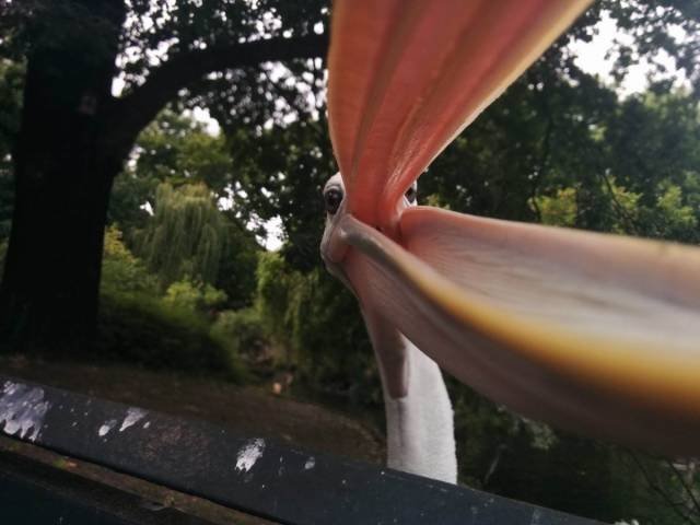 Bildschirmarbeiter - Picdump 06.07.2018