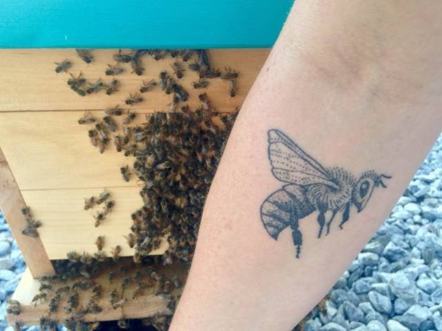 Bildschirmarbeiter - Picdump 06.07.2018