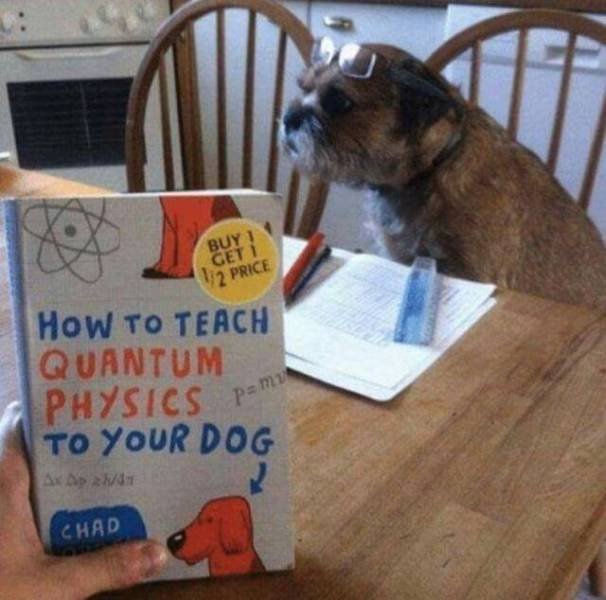 Bildschirmarbeiter - Picdump 06.07.2018