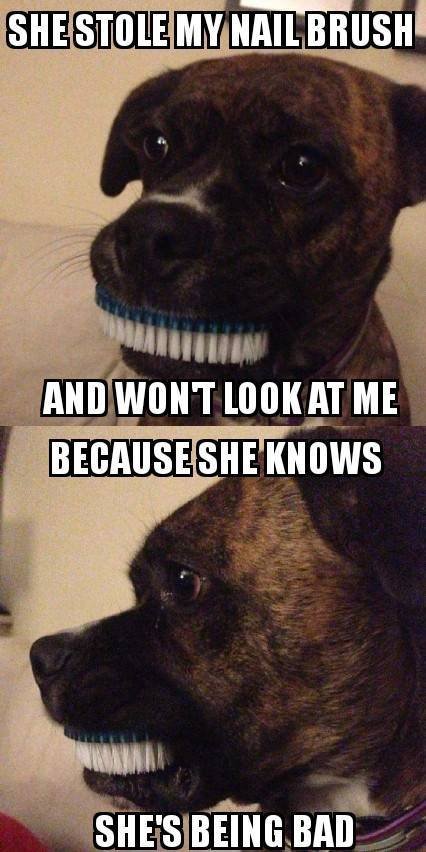 Bildschirmarbeiter - Picdump 06.07.2018