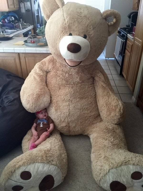 Bildschirmarbeiter - Picdump 06.07.2018