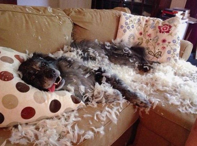 Bildschirmarbeiter - Picdump 06.07.2018