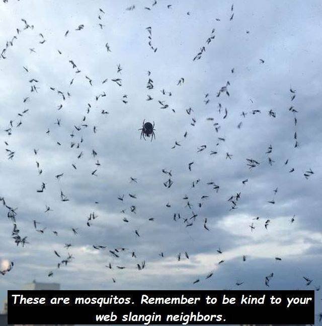 Bildschirmarbeiter - Picdump 13.07.2018