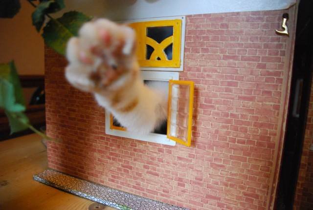 Bildschirmarbeiter - Picdump 13.07.2018