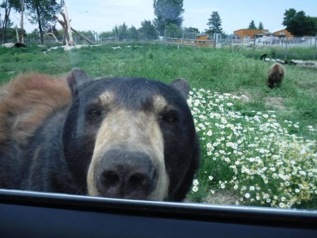 Bildschirmarbeiter - Picdump 13.07.2018