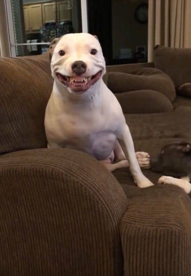 Bildschirmarbeiter - Picdump 13.07.2018