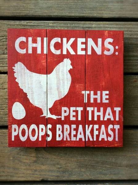 Bildschirmarbeiter - Picdump 13.07.2018