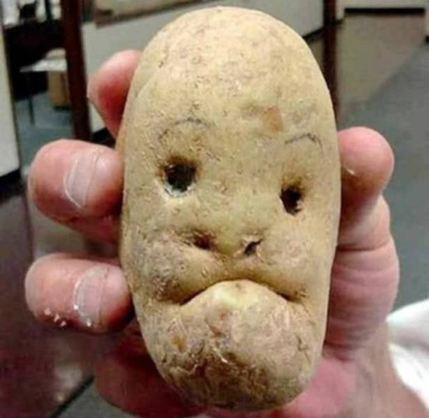 Bildschirmarbeiter - Picdump 13.07.2018