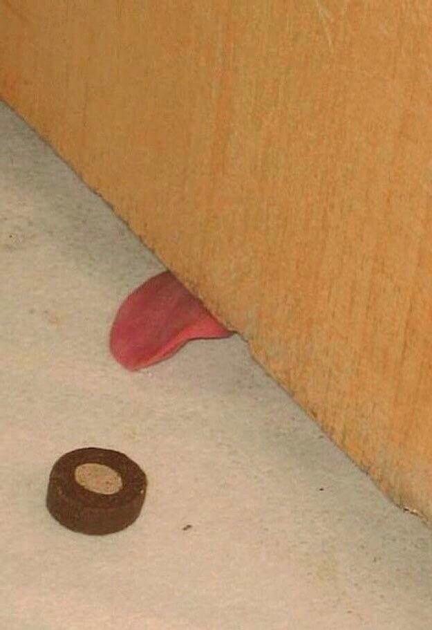 Bildschirmarbeiter - Picdump 13.07.2018