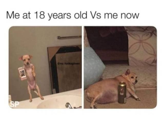 Bildschirmarbeiter - Picdump 13.07.2018