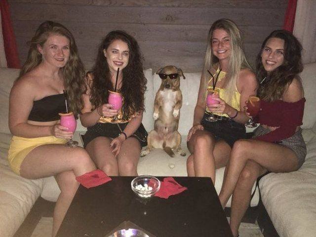 Bildschirmarbeiter - Picdump 20.07.2018