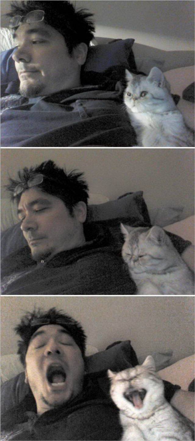 Bildschirmarbeiter - Picdump 20.07.2018