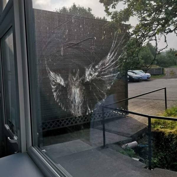 Bildschirmarbeiter - Picdump 20.07.2018