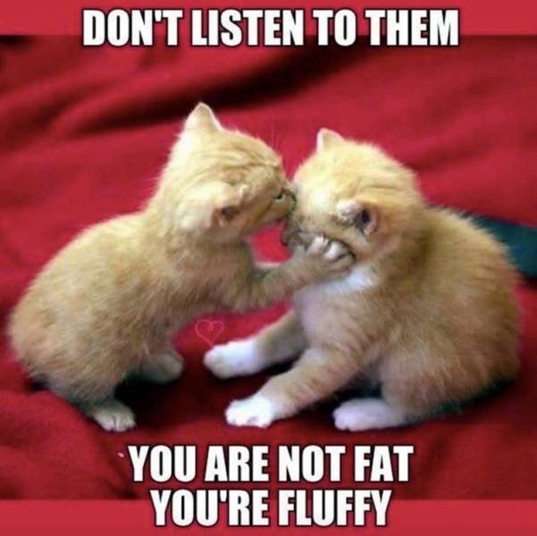 Bildschirmarbeiter - Picdump 20.07.2018