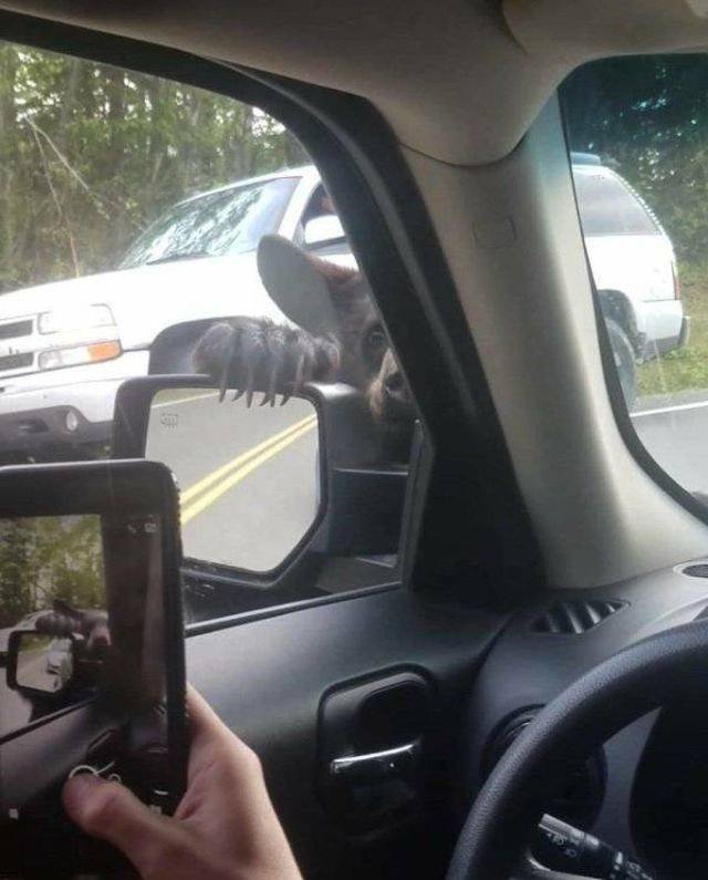 Bildschirmarbeiter - Picdump 20.07.2018