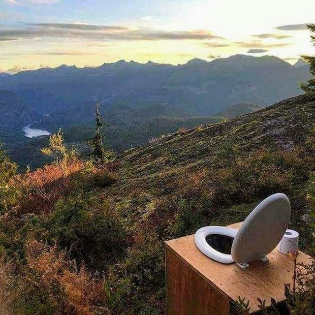 Bildschirmarbeiter - Picdump 03.08.2018