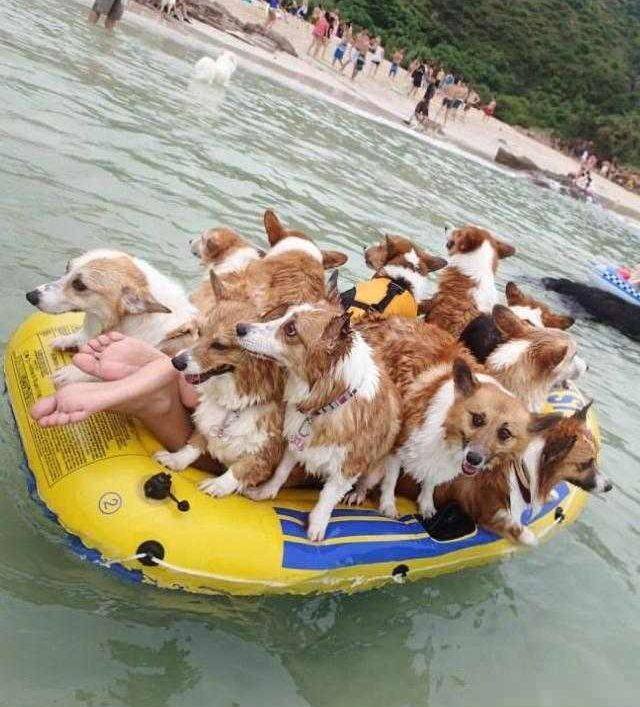 Bildschirmarbeiter - Picdump 03.08.2018