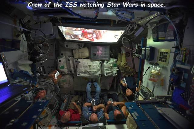 Bildschirmarbeiter - Picdump 03.08.2018