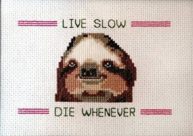 Bildschirmarbeiter - Picdump 03.08.2018