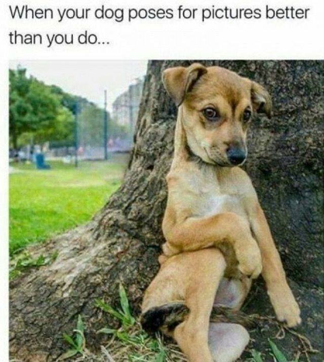 Bildschirmarbeiter - Picdump 03.08.2018