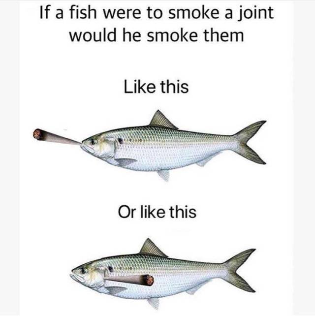 Bildschirmarbeiter - Picdump 03.08.2018