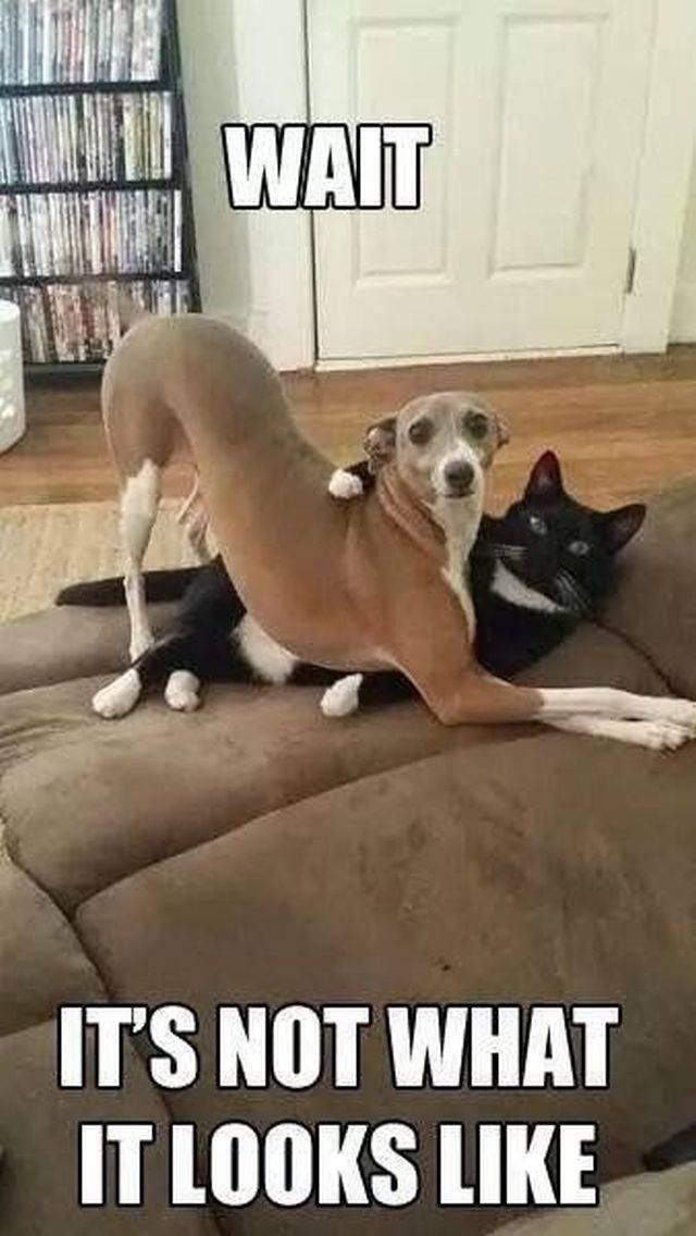 Bildschirmarbeiter - Picdump 03.08.2018