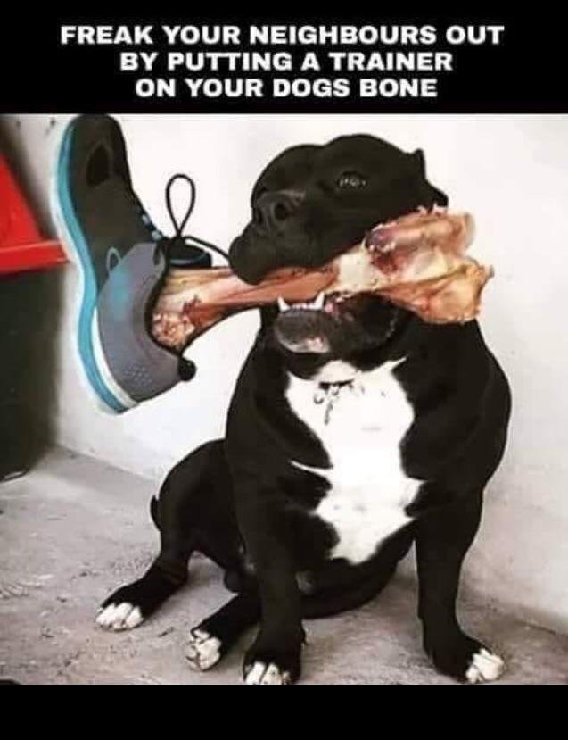 Bildschirmarbeiter - Picdump 24.08.2018