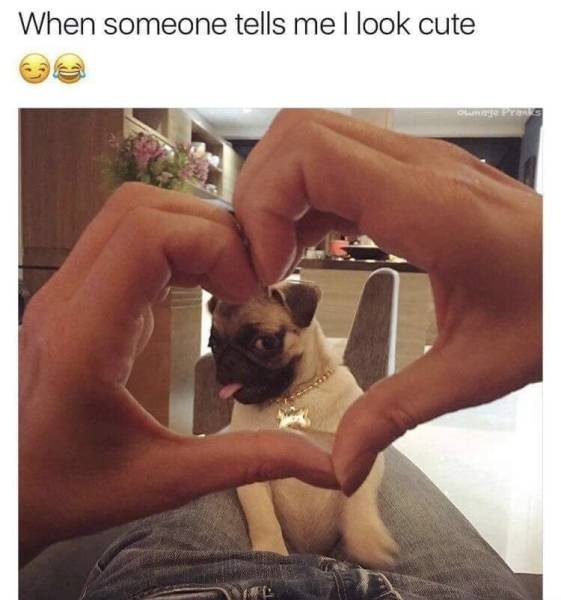 Bildschirmarbeiter - Picdump 24.08.2018