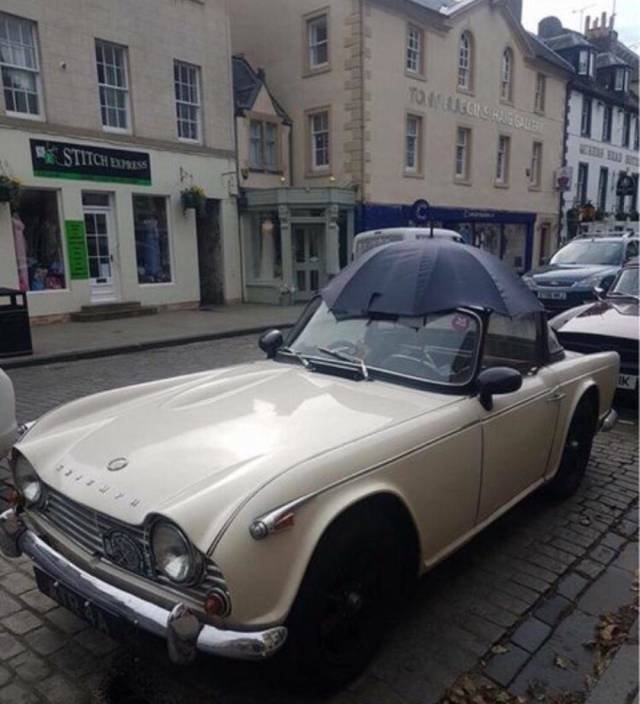 Bildschirmarbeiter - Picdump 24.08.2018