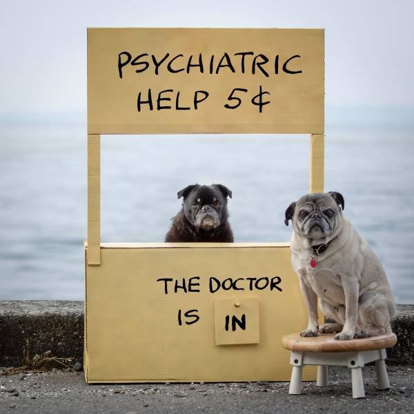 Bildschirmarbeiter - Picdump 24.08.2018