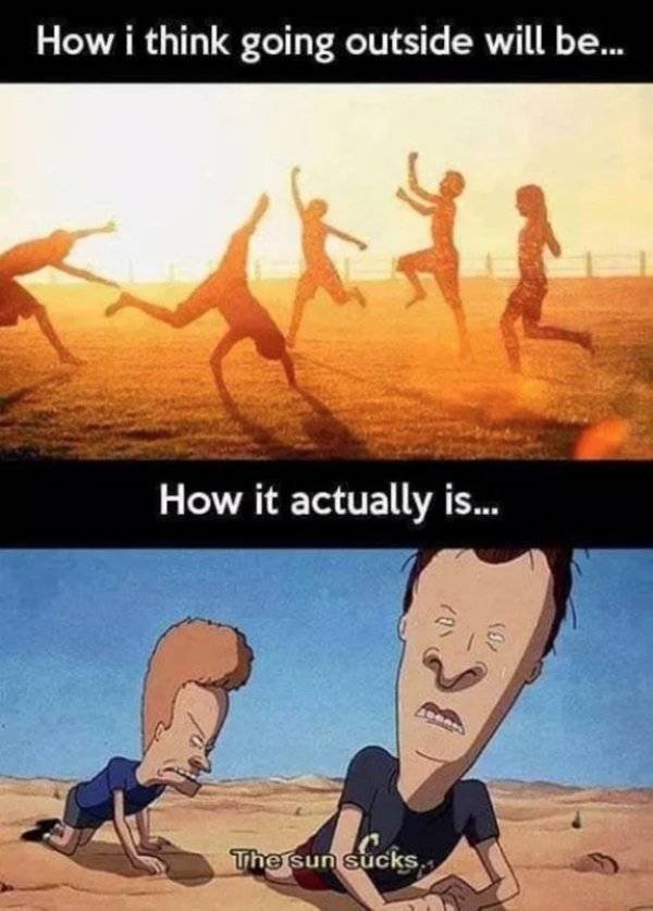 Bildschirmarbeiter - Picdump 24.08.2018