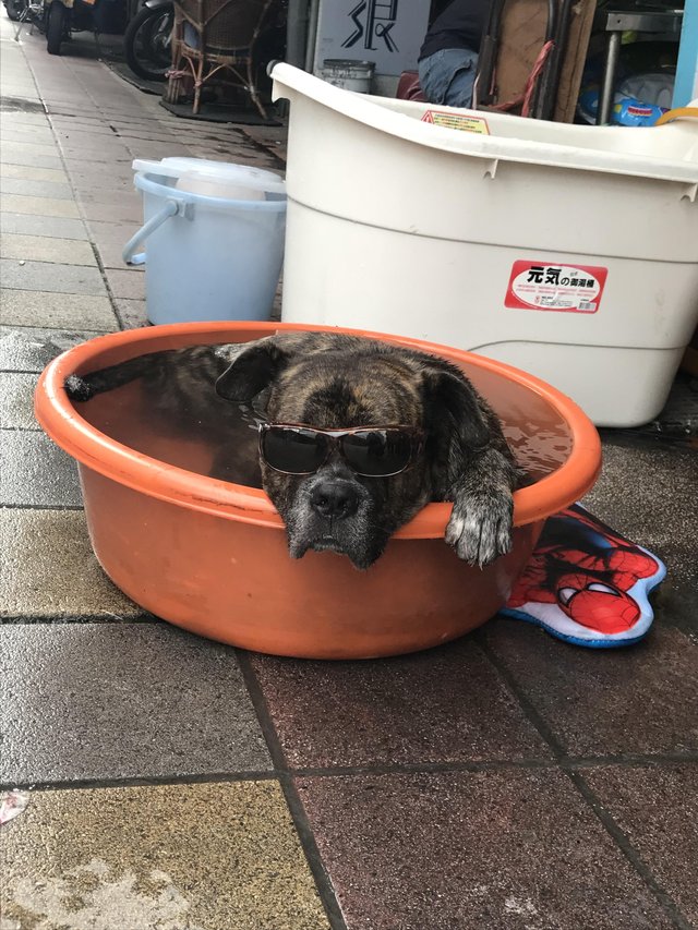 Bildschirmarbeiter - Picdump 07.09.2018