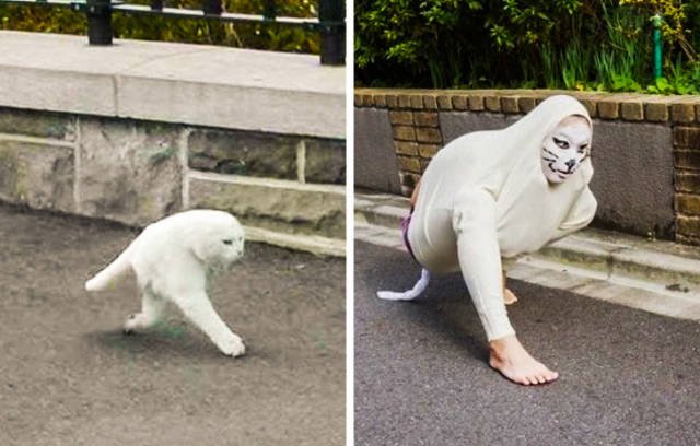 Bildschirmarbeiter - Picdump 07.09.2018