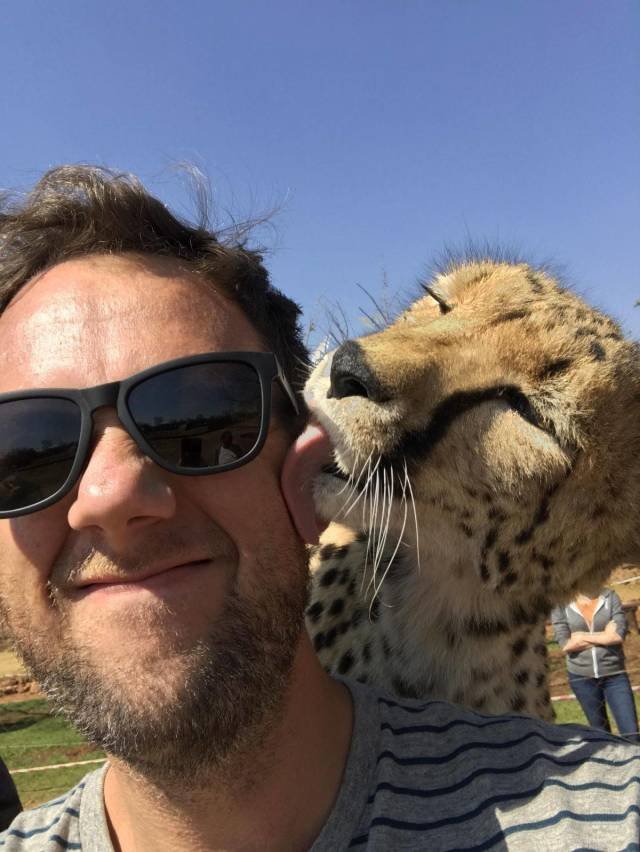 Bildschirmarbeiter - Picdump 07.09.2018