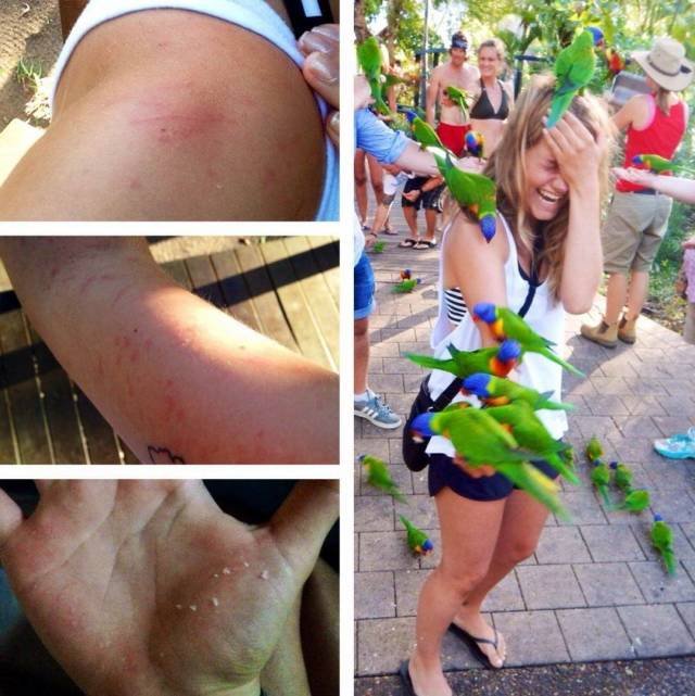 Bildschirmarbeiter - Picdump 07.09.2018