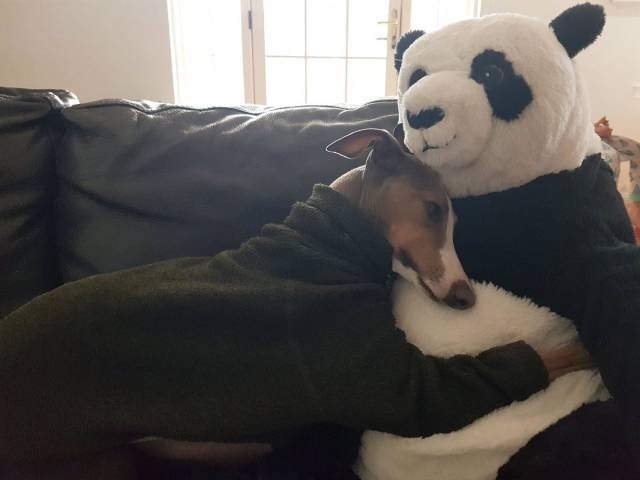 Bildschirmarbeiter - Picdump 07.09.2018