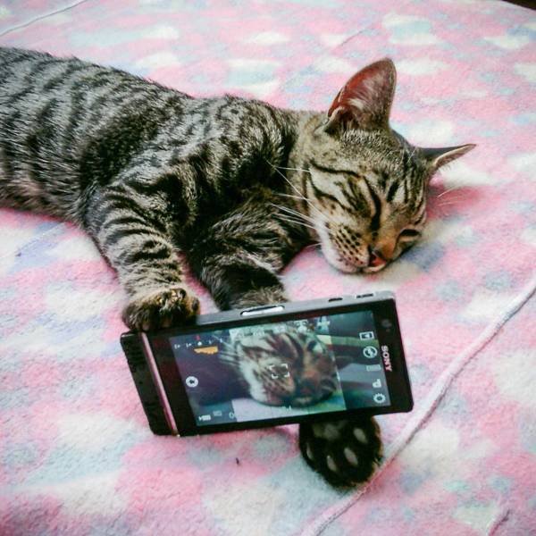 Bildschirmarbeiter - Picdump 07.09.2018