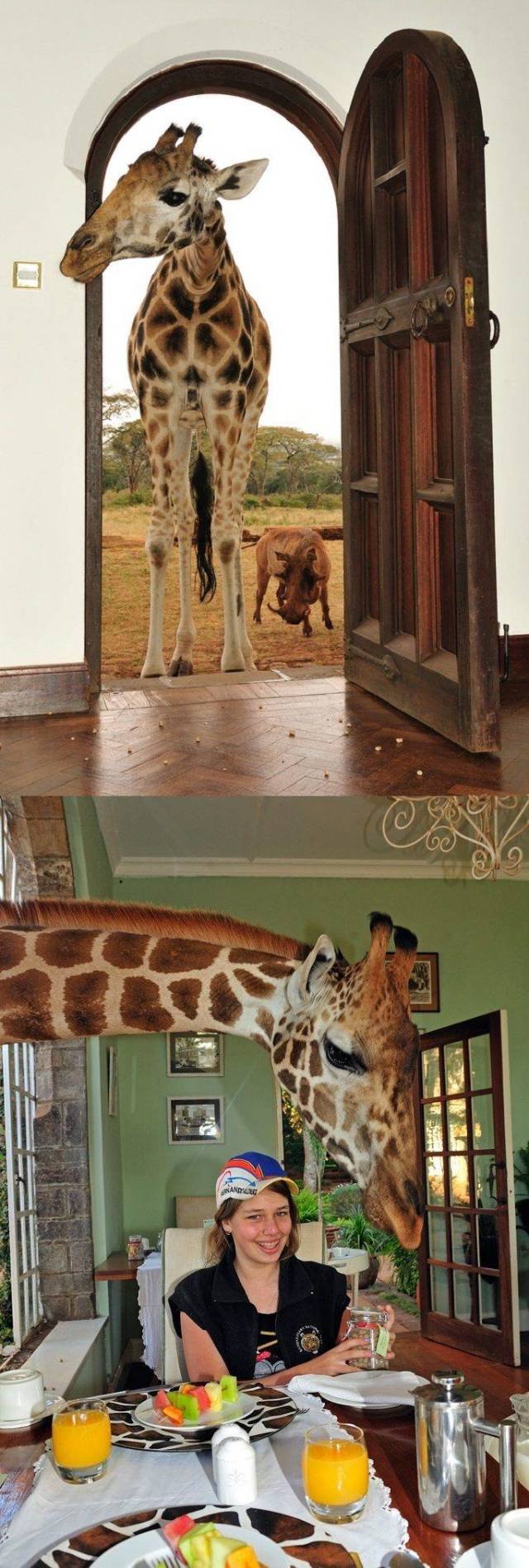 Bildschirmarbeiter - Picdump 07.09.2018