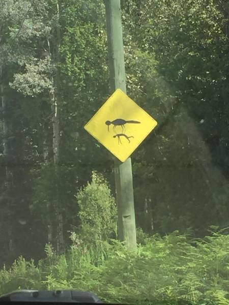 Bildschirmarbeiter - Picdump 07.09.2018