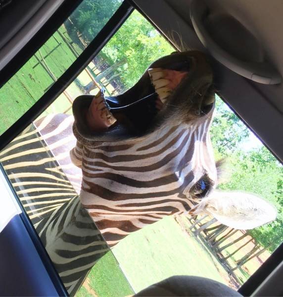 Bildschirmarbeiter - Picdump 07.09.2018