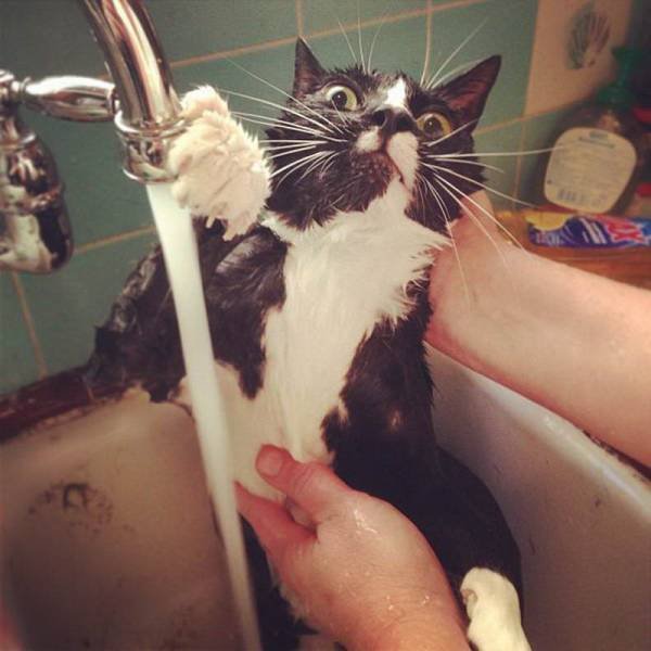 Bildschirmarbeiter - Picdump 07.09.2018