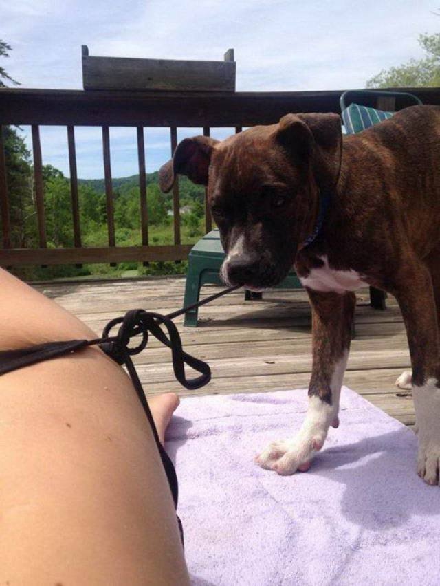 Bildschirmarbeiter - Picdump 14.09.2018