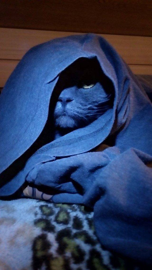 Bildschirmarbeiter - Picdump 14.09.2018