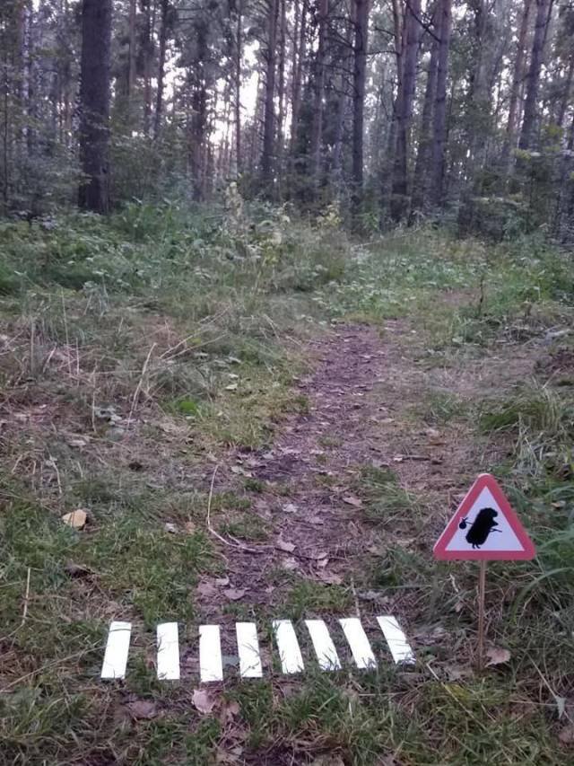 Bildschirmarbeiter - Picdump 14.09.2018