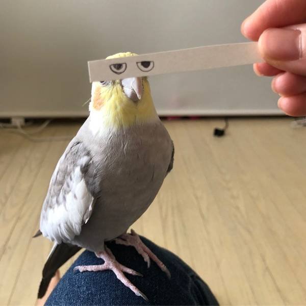 Bildschirmarbeiter - Picdump 14.09.2018