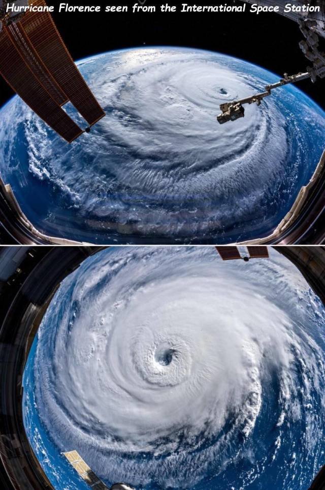 Bildschirmarbeiter - Picdump 14.09.2018